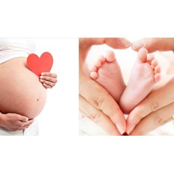 Đang học thạc sĩ mà nghỉ thai sản có được bảo lưu kết quả?