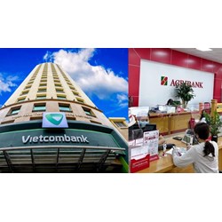 Xử phạt ngân hàng thương mại thay đổi mức vốn điều lệ khi chưa được chấp thuận?