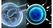 Hiến tinh trùng có phải nhận con sinh ra trong ống nghiệm?