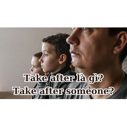 Take after là gì? Ý nghĩa của take after someone trong tiếng Anh