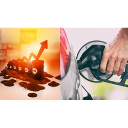 Thương nhân phân phối xăng dầu được quyết định giá bán lẻ xăng dầu hay không?