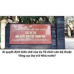 Ai quyết định biên chế của Vụ Tổ chức cán bộ thuộc Tổng cục Dự trữ Nhà nước?