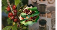 Quy định về tiêu chuẩn Việt Nam đối với cà phê cập nhật mới nhất