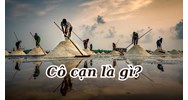 Phương pháp cô cạn là gì? Dùng để tách chất có đặc điểm như thế nào?