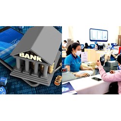 Nhiệm vụ cơ quan thường trực của Ban Chỉ đạo cơ cấu lại hệ thống các tổ chức tín dụng?