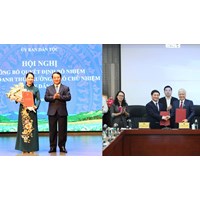 Yêu cầu với cá nhân đăng ký làm chủ nhiệm dự án bảo vệ môi trường của Ủy ban Dân tộc?