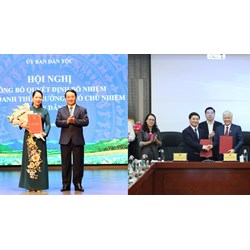 Yêu cầu với cá nhân đăng ký làm chủ nhiệm dự án bảo vệ môi trường của Ủy ban Dân tộc?
