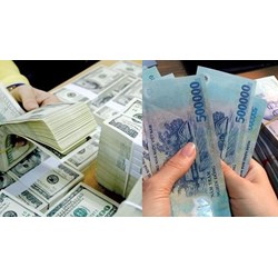 Xử lý bộ chứng từ kế toán nhập, xuất tiền thuộc Quỹ dự trữ phát hành?