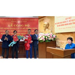 Điều kiện để đảng viên tự ứng cử đại biểu Quốc hội, HĐND