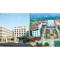 Tổ chức nào trực thuộc Viện Văn hoá Nghệ thuật quốc gia Việt Nam?