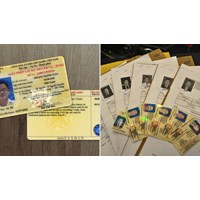 Cách tra cứu thông tin Giấy phép lái xe đơn giản