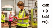 Chế độ làm việc Hội đồng quản lý đơn vị sự nghiệp ngành giao thông?