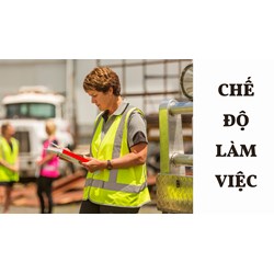 Chế độ làm việc Hội đồng quản lý đơn vị sự nghiệp ngành giao thông?