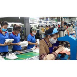 Thủ tục đăng ký  logo cho công ty giày da
