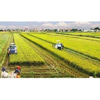 Đất nông nghiệp quỹ I, quỹ II là gì?