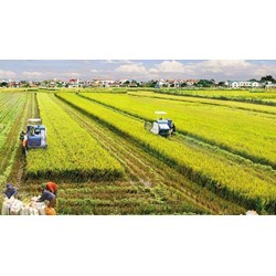 Đất nông nghiệp quỹ I, quỹ II là gì?