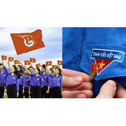 Quy định về đoàn cơ sở trong tổ chức của Đoàn thanh niên như thế nào?