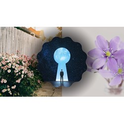 Nghị luận Kẻ cơ hội thì nôn nóng tạo ra thành tích ... siêu hay
