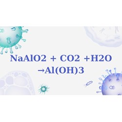 NaAlO2 + CO2 + H2O → Al(OH)3 ↓ + NaHCO3