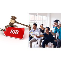 Quy trình đấu thầu hạn chế qua mạng thực hiện như thế nào?
