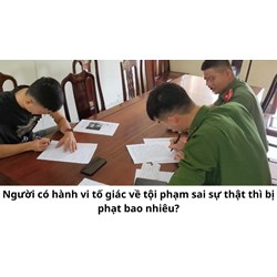 Người có hành vi tố giác về tội phạm sai sự thật thì bị phạt bao nhiêu?