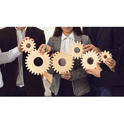 Hình thức đầu tư kinh doanh tư vấn quản lý (ngoại trừ thuế kinh doanh) tại Việt Nam