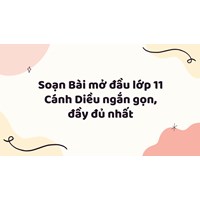 Soạn Bài mở đầu lớp 11 Cánh Diều ngắn gọn, đầy đủ nhất