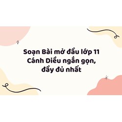 Soạn Bài mở đầu lớp 11 Cánh Diều ngắn gọn, đầy đủ nhất