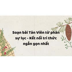 Soạn bài Tản Viên từ phán sự lục - Kết nối tri thức ngắn gọn nhất