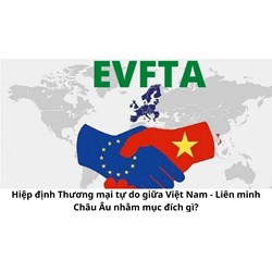 Hiệp định Thương mại tự do giữa Việt Nam - Liên minh Châu Âu nhằm mục đích gì?