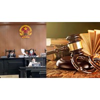 Ai quản lý người được tạm đình chỉ chấp hành án để xét xử giám đốc thẩm, tái thẩm?