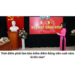 Thời điểm phải làm bản kiểm điểm Đảng viên cuối năm là khi nào?