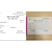 Xử lý biên lai thu tiền phạt vi phạm hành chính phát ra bị nhàu nát