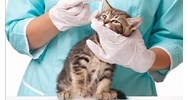 Quy chuẩn kỹ thuật quốc gia về yêu cầu vệ sinh thú y đối với các đối tượng thuộc diện kiểm tra vệ sinh thú y do ai ban hành?