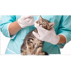 Quy chuẩn kỹ thuật quốc gia về yêu cầu vệ sinh thú y đối với các đối tượng thuộc diện kiểm tra vệ sinh thú y do ai ban hành?