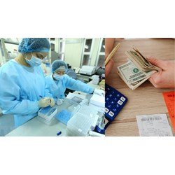 Mức lương tháng 120 triệu đồng cho lãnh đạo làm khoa học tại TPHCM