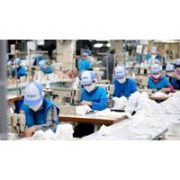 Chứng chỉ kỹ năng nghề quốc gia là gì? Nguyên tắc đánh giá kỹ năng nghề quốc gia