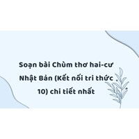Soạn bài Chùm thơ hai-cư Nhật Bản (Kết nối tri thức 10) chi tiết nhất
