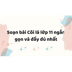 Soạn bài Cõi lá lớp 11 ngắn gọn và đầy đủ nhất
