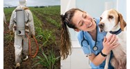 Mức phụ cấp ưu đãi nghề với công chức, viên chức ngành Bảo vệ thực vật, Thú y mới nhất?