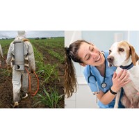 Mức phụ cấp ưu đãi nghề với công chức, viên chức ngành Bảo vệ thực vật, Thú y mới nhất?