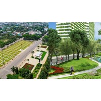 Thiết kế quy hoạch cây xanh sử dụng công cộng đô thị phải đảm bảo yêu cầu gì?