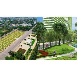 Thiết kế quy hoạch cây xanh sử dụng công cộng đô thị phải đảm bảo yêu cầu gì?