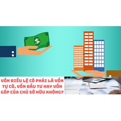 Vốn điều lệ có phải là vốn tự có, vốn đầu tư hay vốn góp của chủ sở hữu không?
