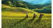 Chi hỗ trợ thúc đẩy khởi sự kinh doanh, khởi nghiệp, thu hút đầu tư vùng đồng bào dân tộc thiểu số và miền núi