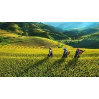 Chi hỗ trợ thúc đẩy khởi sự kinh doanh, khởi nghiệp, thu hút đầu tư vùng đồng bào dân tộc thiểu số và miền núi