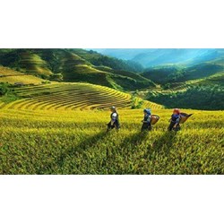 Chi hỗ trợ thúc đẩy khởi sự kinh doanh, khởi nghiệp, thu hút đầu tư vùng đồng bào dân tộc thiểu số và miền núi