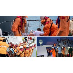 Cơ cấu tổ chức của Trung tâm Phối hợp tìm kiếm, cứu nạn hàng hải