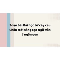 Soạn bài Bài học từ cây cau Chân trời sáng tạo Ngữ văn 7 ngắn gọn