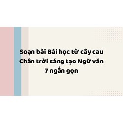 Soạn bài Bài học từ cây cau Chân trời sáng tạo Ngữ văn 7 ngắn gọn